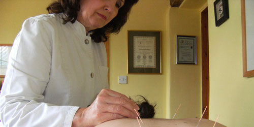 Contact Lavinia Contact Lavinia